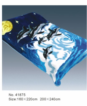 blanket 026