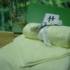 bamboo 001
